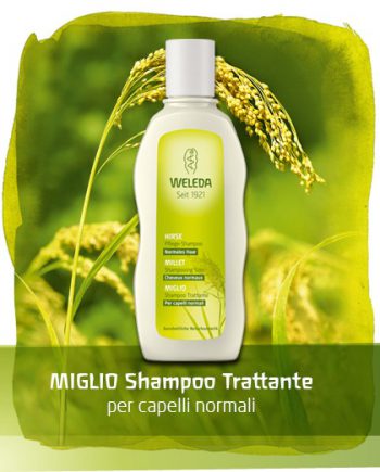 Miglio Shampoo Trattante