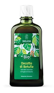 Decotto di Betulla